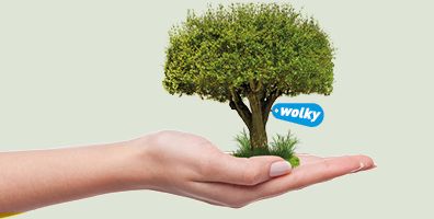 Wolky_FBO_trees for all